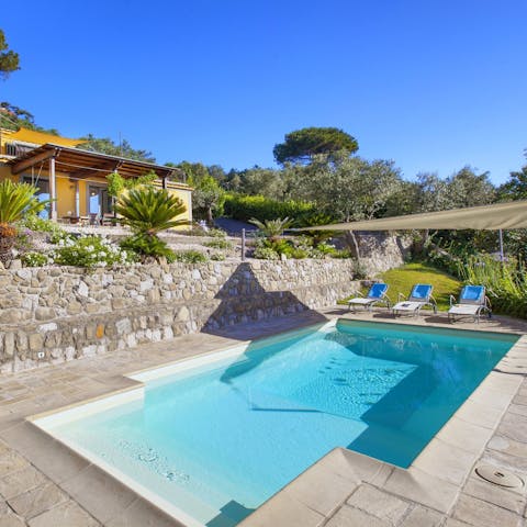 Go for a dip in the private swimming pool
