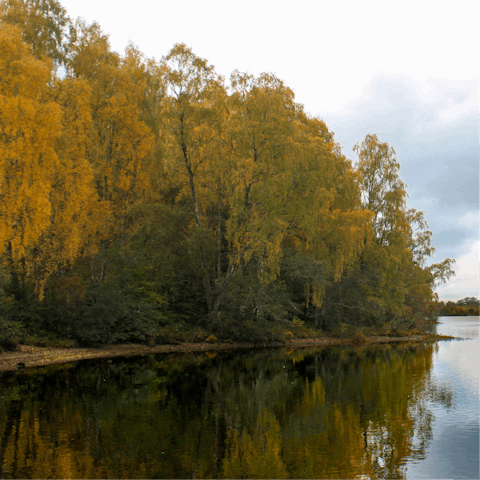 Pay a visit to Wanstead Park and stroll along the calm water