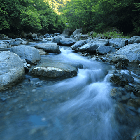Head to the freshwater swimming areas on the Merse River nearby