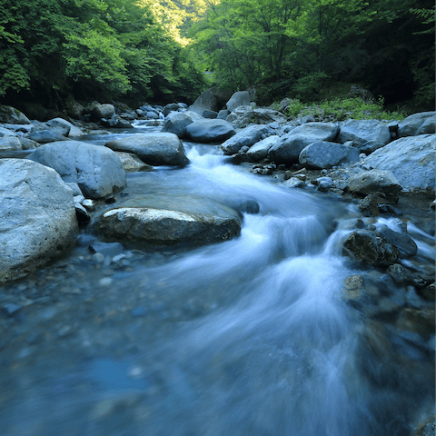 Head to the freshwater swimming areas on the Merse River nearby