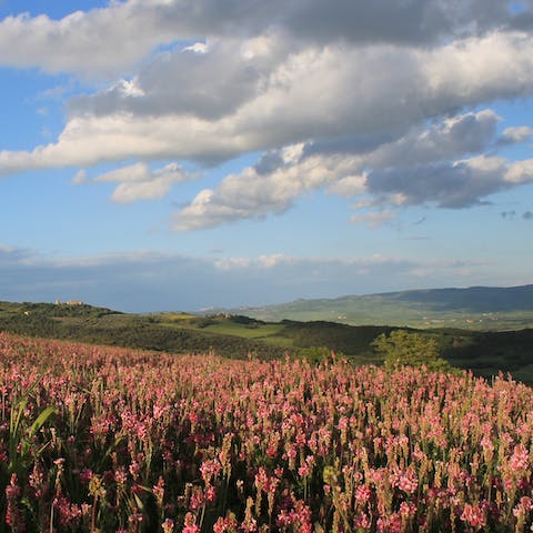 Spend idyllic days walking, cycling and exploring the charming towns and villages of Tuscany