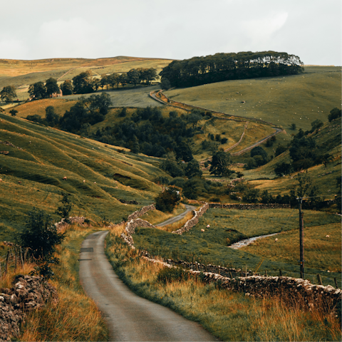 Head out and explore the Yorkshire Dales, just a fifteen-minute drive down the road