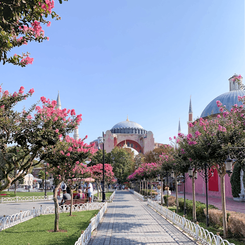 Stroll around the Hagia Sofia and capture your Instagrammable surroundings