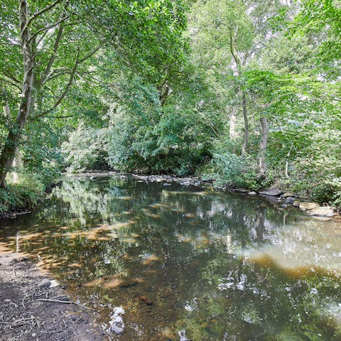 Make your way down to the gentle river and watch the slow stream pass by while you lose track of time