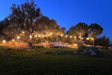 Linger beneath string-lit olive trees as the sky turns deep blue