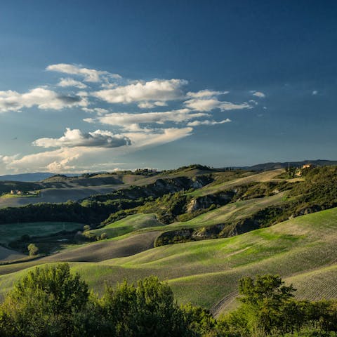 Guests loved the stunning views of the Tuscan countryside from this home's hilltop position.