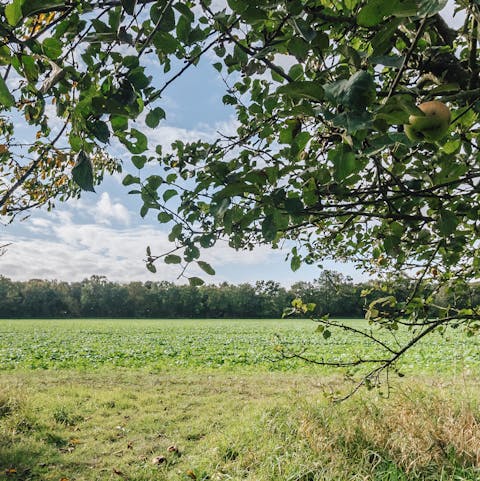 Go for a walk in the beautiful surrounding countryside