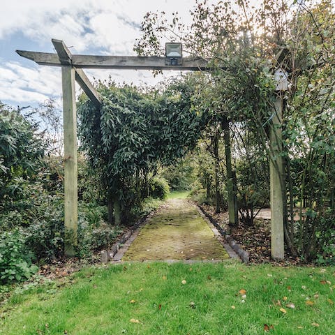 Explore the enormous garden