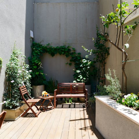 Enjoy blasts of Israeli sunshine out on the home's plant-filled terrace
