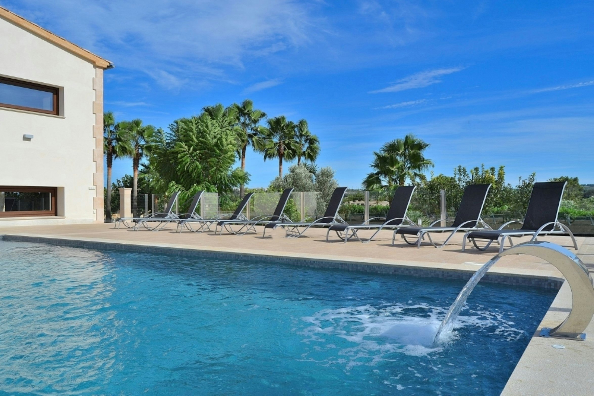 Poolside Perfection