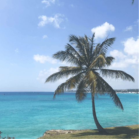 Drive five minutes to the gorgeous beach at Fairmont Royal Pavilion