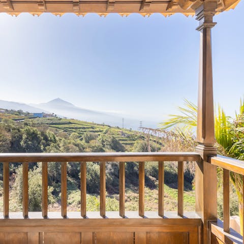 Soak up views of Mount Teide from the terraces