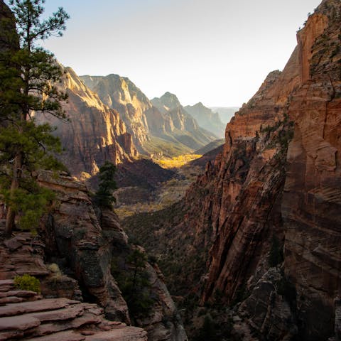 Tick Zion National Park off your USA travel bucket list