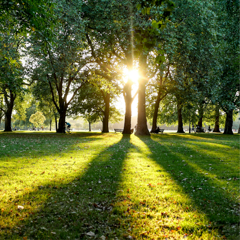 Connect with nature with a walk through Hyde Park