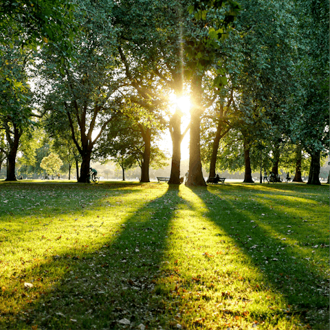 Connect with nature with a walk through Hyde Park