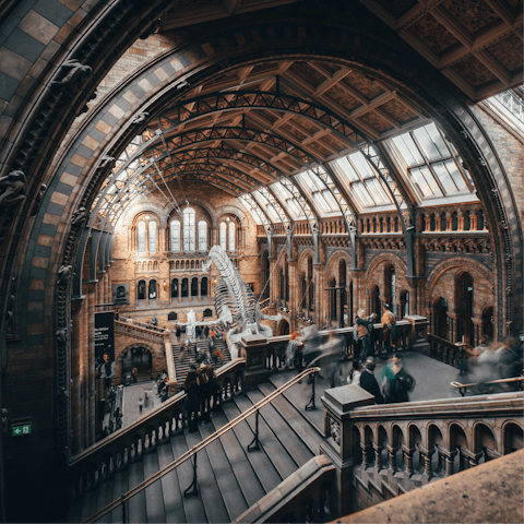 Walk twenty minutes to the Natural History Museum