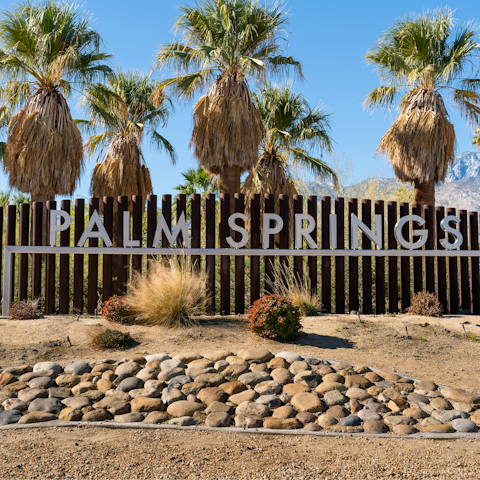 Take a drive to nearby Palm Springs
