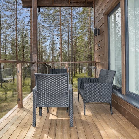 Watch the sun set over the pine forest