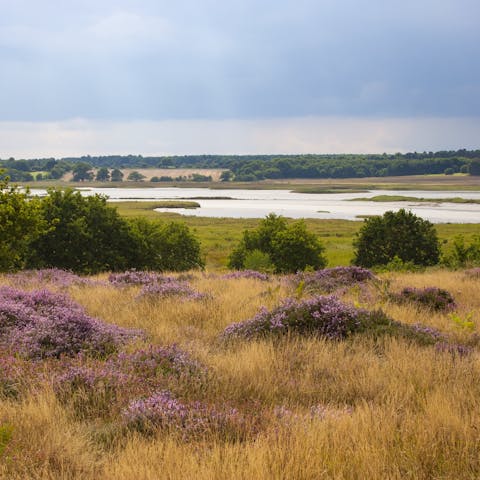 Explore the beautiful Suffolk coast and marshes on your doorstep