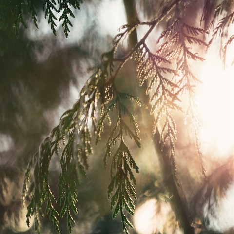 Enjoy a refreshing walk through Parque La Quinta de los Molinos