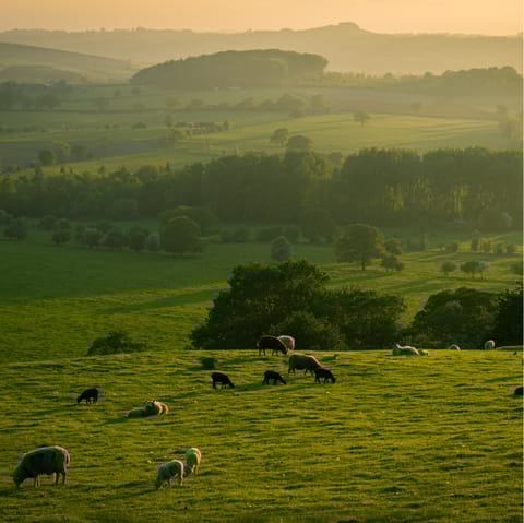 Explore the lush greenery of the local area on foot