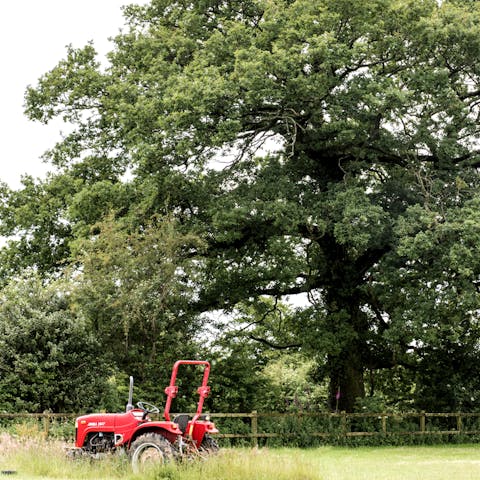 Roam through the picture-perfect Devon countryside on foot or by bike
