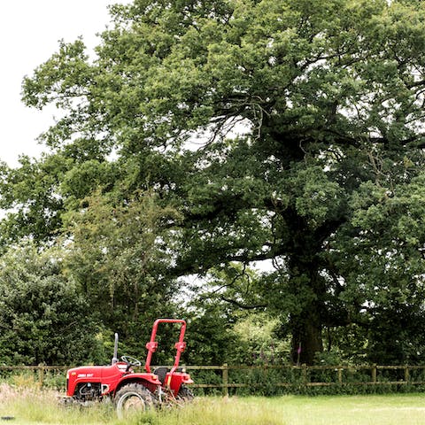 Roam through the picture-perfect Devon countryside on foot or by bike