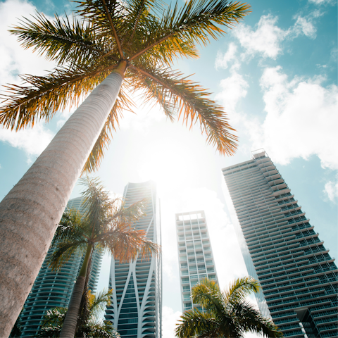 Make the short drive to buzzing Downtown Miami
