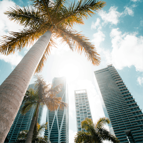 Make the short drive to buzzing Downtown Miami
