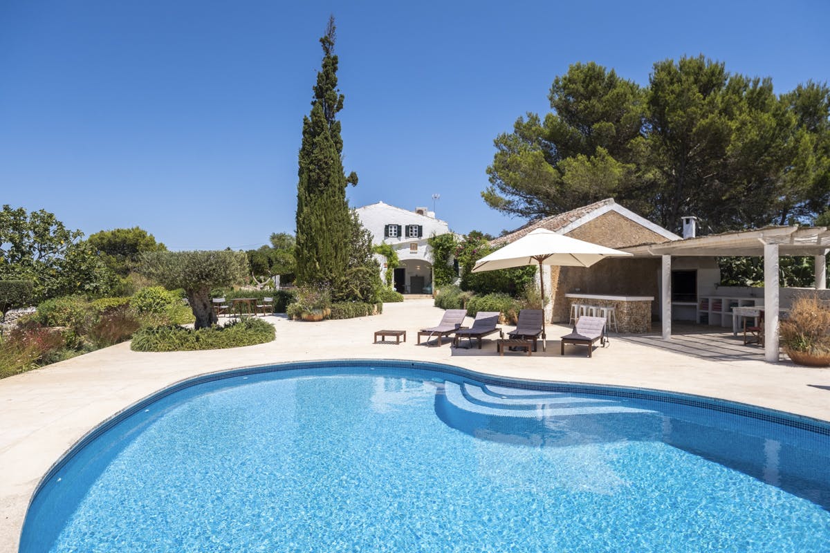 The Wildflower Harvest