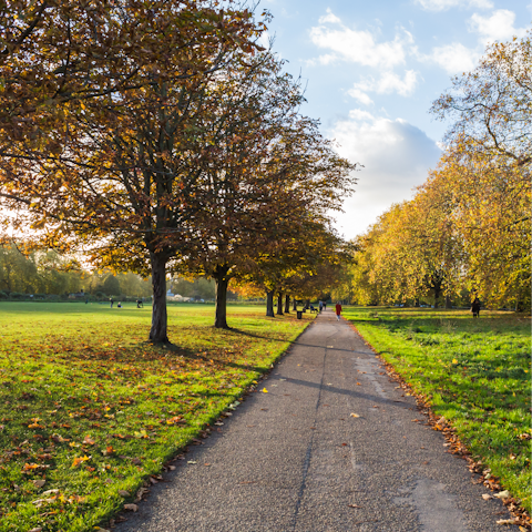 Explore Hyde Park's leafy expanse