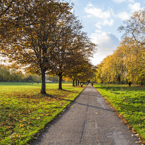Explore Hyde Park's leafy expanse