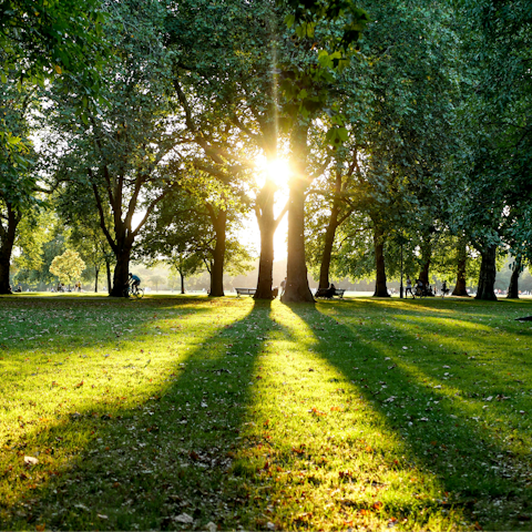 Soak up the magic of London while strolling through Hyde Park