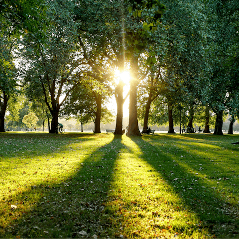 Soak up the magic of London while strolling through Hyde Park