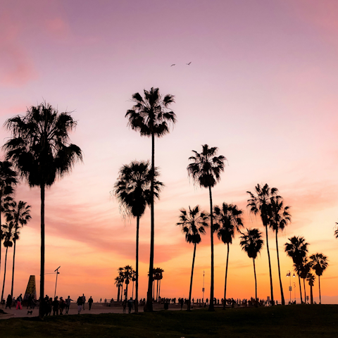 Explore Venice beach, a six-minute drive away