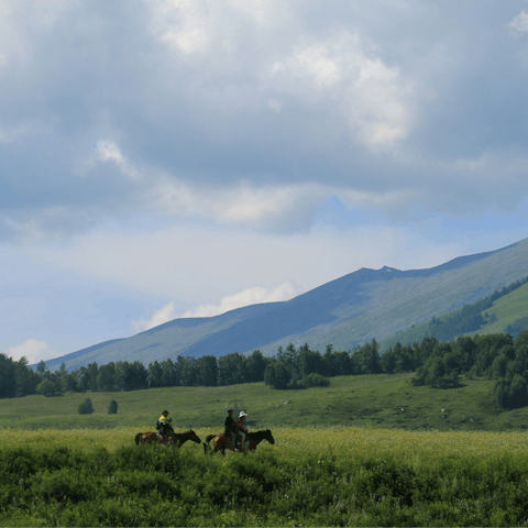 Explore the local Chianti hills on horseback – your host can arrange this for you