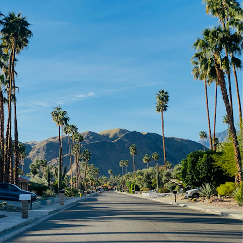 Visit the glitzy, palm tree-lined streets of nearby Palm Springs