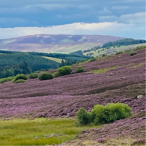 Enjoy exploring the estate's expansive grounds