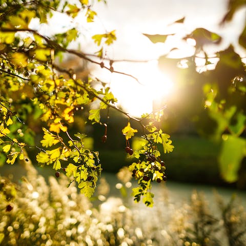 Treat your senses to a rejuvenating stay in the Suffolk countryside