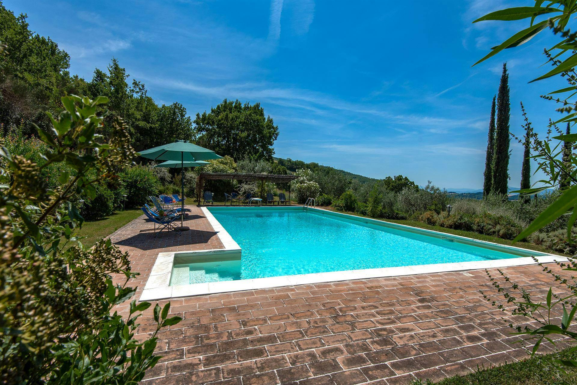 Lavender, Basil & Rosemary