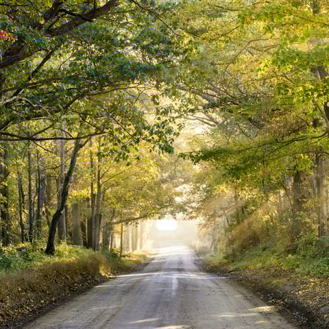 Wander through the atmospheric lanes of the Blackdown Hills