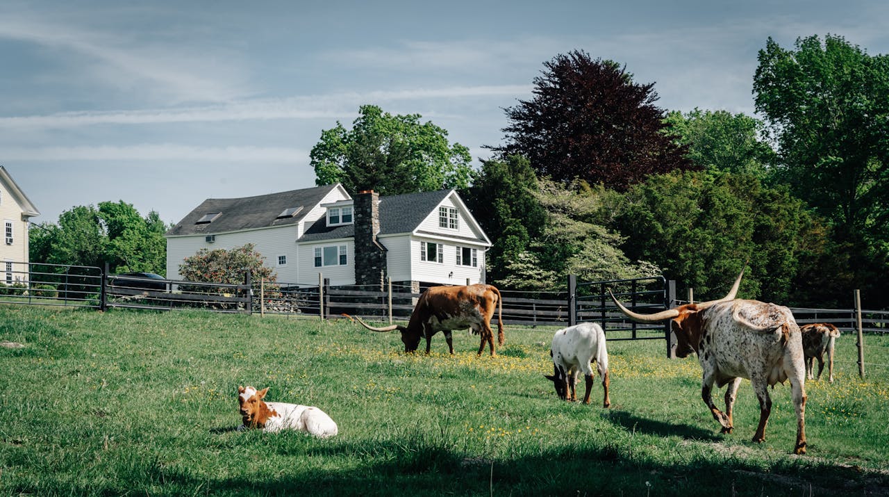 Mystic Countryside Farm, United States | Plum Guide, image size:1440x1080