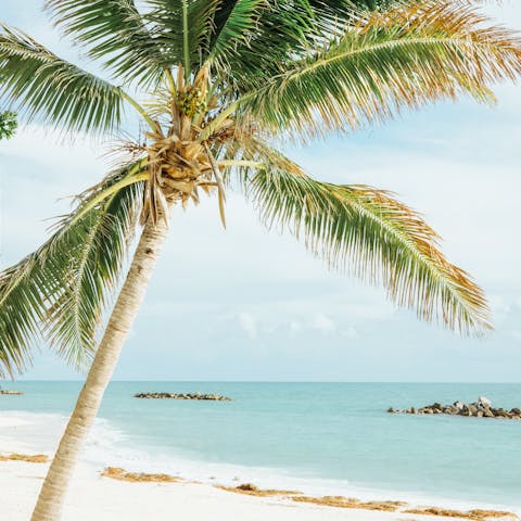 Enjoy a beach day at Key West – less than a mile away