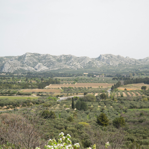 Explore the stunning countryside of Alpilles in Provence