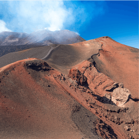 Explore the awe-inspiring landscapes of Parco dell'Etna, a forty-minute drive away