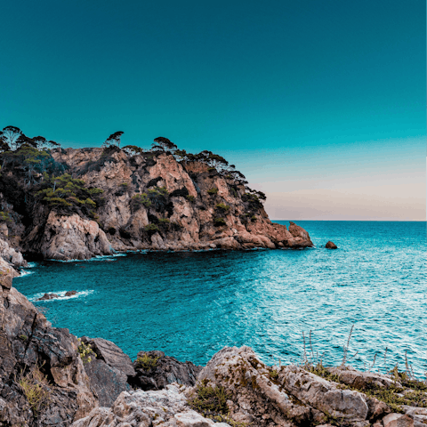 Drive along the coast into the centre of Marbella for a glitzy lunch