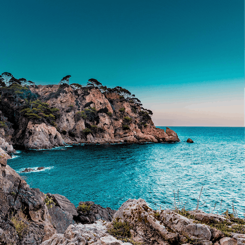 Drive along the coast into the centre of Marbella for a glitzy lunch