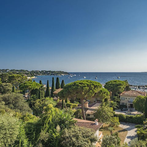 Enjoy stunning views over Cap D'Antibes