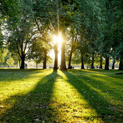 Spend an afternoon strolling through Hyde Park