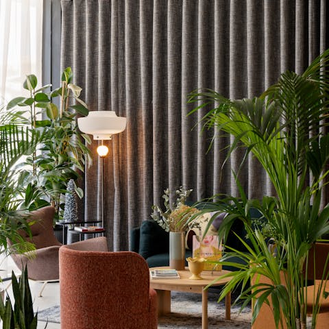 Settle in among the Areca palms with a good book in the communal lounge